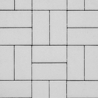 Бруківка 200х100х60 Білий