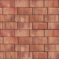 Бруківка 200х100х40 Бордо