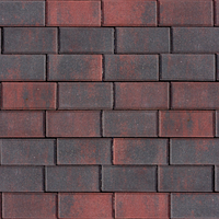 Бруківка 200х100х60 Бордо