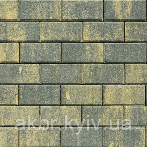 Бруківка 200х100х40 Невада, фото 1