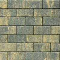 Бруківка 200х100х40 Невада