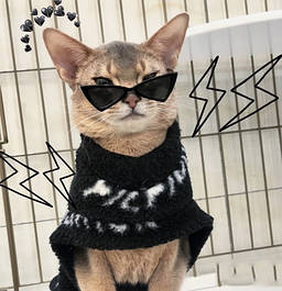 Товари для домашніх улюбленців