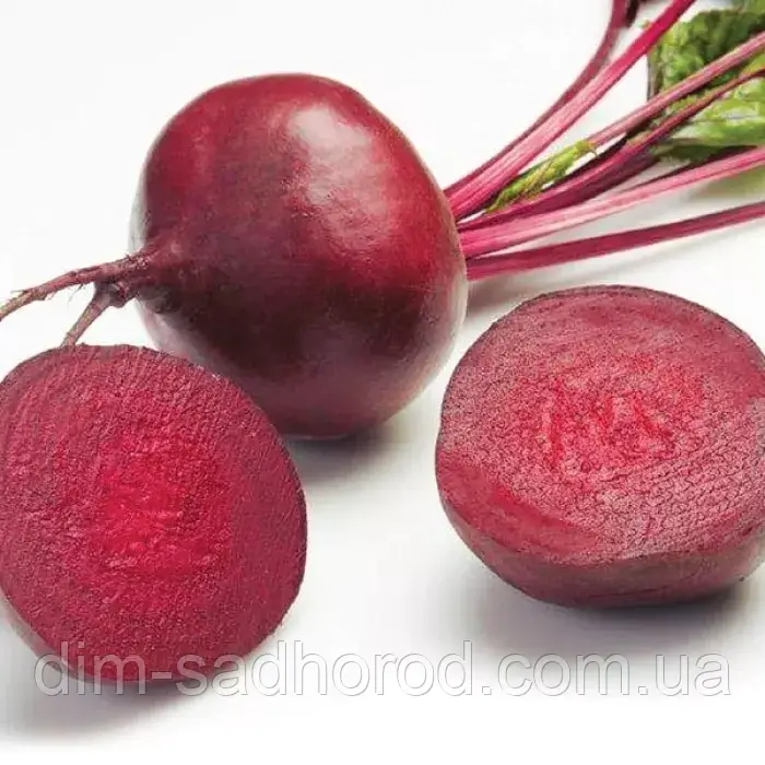 БУРЯК ЗЕПО F1 200 ШТ RIJK ZWAAN, фото 1