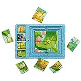 Дерев'яний чотиришаровий пазл-сортер "Етапи розвитку метелика" (ПСФ017), фото 5