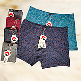 Чоловічі труси боксери Taso бавовна+бамбук 1 шт Розмір XL XXL 3XL 4XL, фото 2