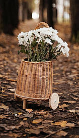 Плетений візок Плетений каталка Кошик для іграшок.