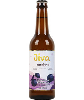КОМБУЧА ЖИВА