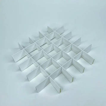 Перегородка 200х200х30 мм/25 комірок/Біла/МАЛЕНЬКА