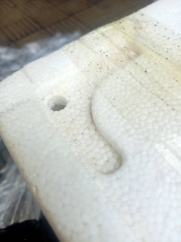 Хамса чорноморська 7-9 см, свіжоморожена - фото покупців 5