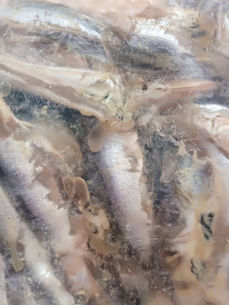 Хамса чорноморська 7-9 см, свіжоморожена - фото покупців 2