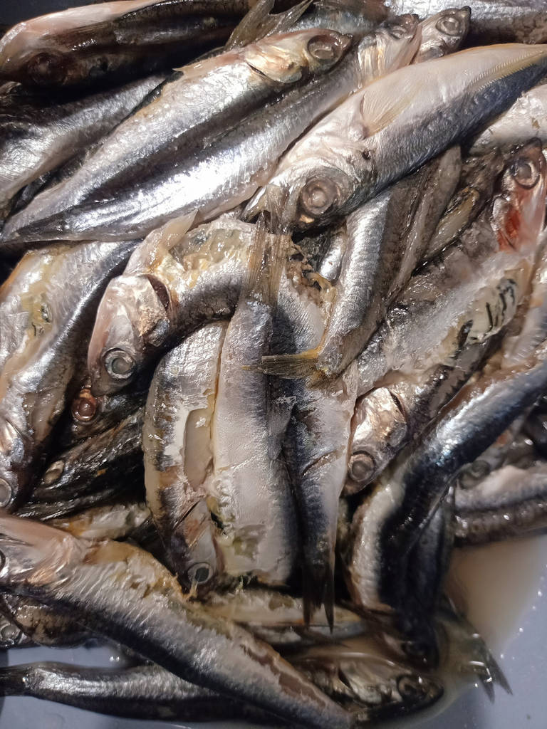 Хамса чорноморська 7-9 см, свіжоморожена - фото покупців 3