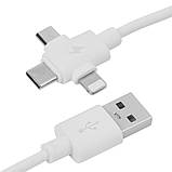 Кабель для зарядки 3в1 ProCharge (Type-C, Lightning, MicroUSB) 2А, фото 2