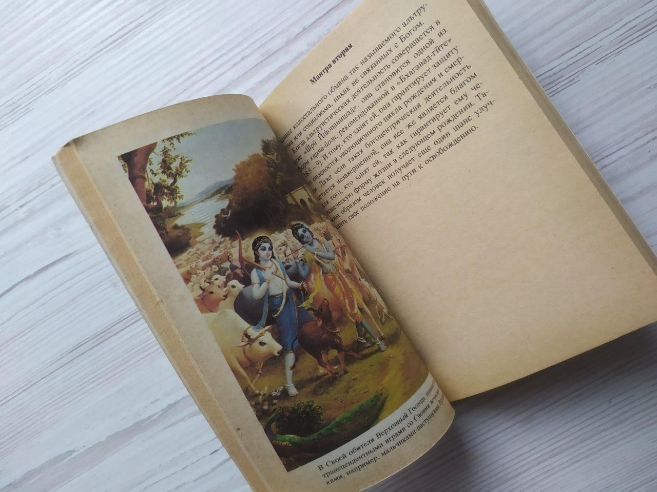 Product image preview