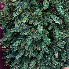 Ялинка штучна лита Преміум 2.3м, зелена, фото 2