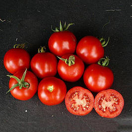 Професійне насіння