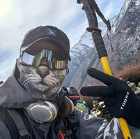 Гейтор / Бафф / Полубалаклава з 2D принтом тварини для велосипедистів / Для лижного спорту / Для мотоциклістів /