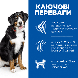 Hill's SCIENCE PLAN Adult Large Breed Сухий корм для дорослих собак великих порід, з ягням і рисом, 10+4 кг, фото 3