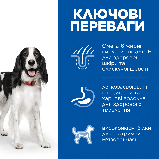 Hill's SCIENCE PLAN Adult Medium Breed Сухий корм для дорослих собак середніх порід, з ягням та рисом, 12+2кг, фото 2