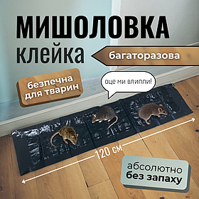Липучка для мишей щурів крисоловка мишоловка клейова липка капкан пастка Hechpro (120)