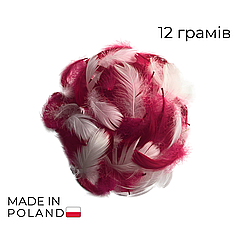 Набір: пір'я на бабл / Bubble 20 асорті малиново-біле, 12г