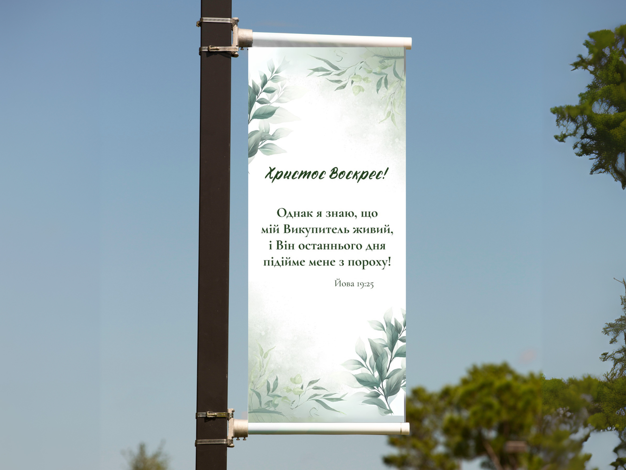 Банер "Conc Бетховен!", фото 1