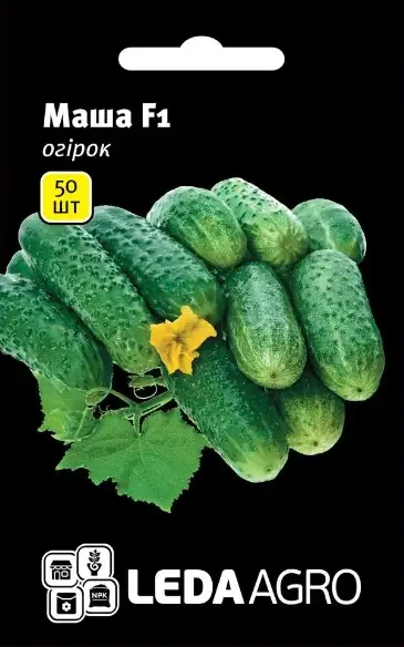 Огірок Маша F1, надранній самозапильний гібрид, 50 шт (Leda Agro), фото 1