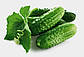 Огірок Еколь F1, 50 шт (Leda Agro), фото 4