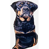 🖤Велика подушка собака з реалістичним 3D принтом Ротвейлер 68см М'яка іграшка песик антистрес, фото 2