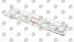 Прокладка колектора Газель-NEXT дв.УМЗ-А274 evotech 2.7 (А274.1008080)