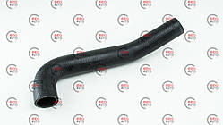 Патрубок радіатора ГАЗЕЛЬ NEXT дв.А274 evotech верхній (A21R23-1303010-202246)