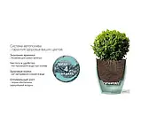 Вазон подвійний Santino Deco Twin plus з картриджем 15 л крем, фото 3