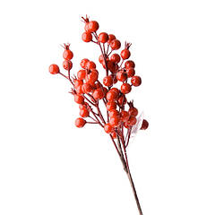 Нова поставка вересень 2025