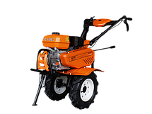 N7 Ліс сад город