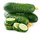Огірок Северин F1, 10 шт (Leda Agro), фото 3