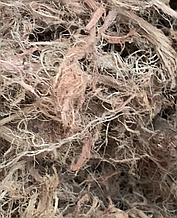 Червоний корінь копієчник 50 гр