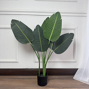 Бананова пальма у горщику , 120 см