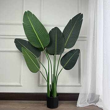 Бананова пальма у горщику , 180 см