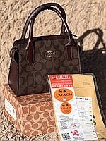 Женская сумка Coach Andrea Carryall