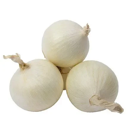 Цибуля саджанка Айсбір 10-21 мм, BROER, ціна за 1 кг, осінь 2025