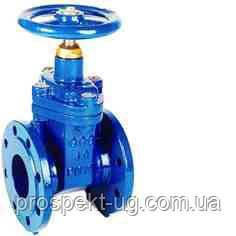 Засувка 30ч39р Ду65 Ру16 чавунна з гумовим клином фланцева