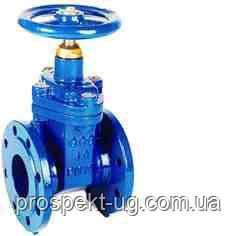 Засувка 30ч39р Ду65 Ру16 чавунна з гумовим клином фланцева, фото 1