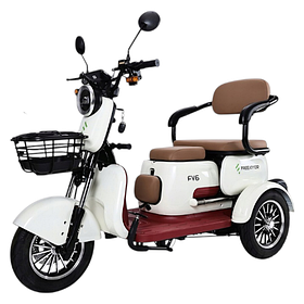 Трицикл акумуляторний 600 Вт FreeJoyer FV6 електроскутер триколісний для міста