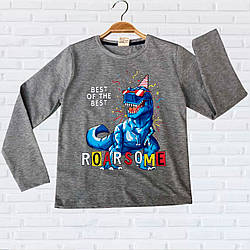 Демісезонний дитячий джемпер з динозавром для хлопчика "Туреччина" Розміри: 5,7,9,11,13 років (38270-3)