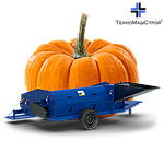 Збирання гарбузів з гарбузовим комбайном ТРІУМФ-2000