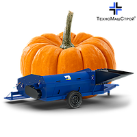 Збирання гарбузів з гарбузовим комбайном ТРІУМФ-2000