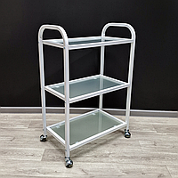 Тележка косметологическая манипуляционная R-21 White (54х30см)