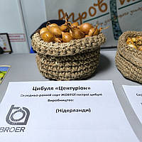 Центуріон F1 цибуля сіянка, 1кг