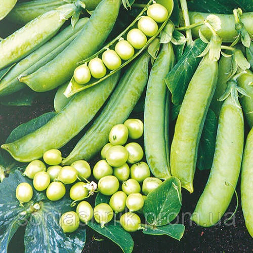 Горох ваговий Преладо АПГ, 1кг