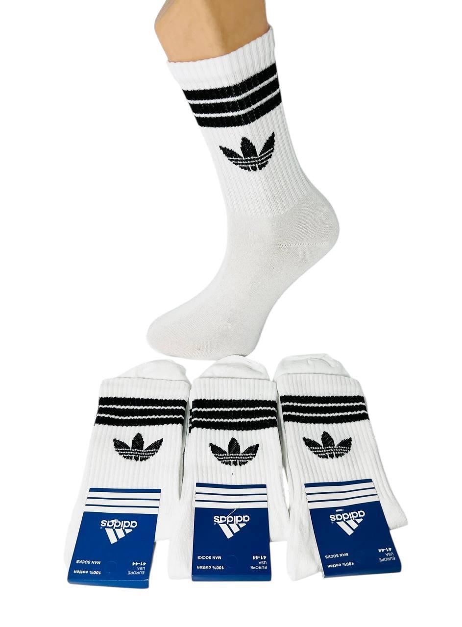 Шкарпетки чоловічі 12 пар демісезонні спортивні високі з бавовни Adidas Туреччина розмір 41-44 білі