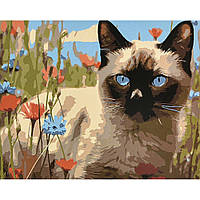 Картина за номерами ПРЕМІУМ Тиша і краса на лузі 40х50 (Strateg) VA-4607